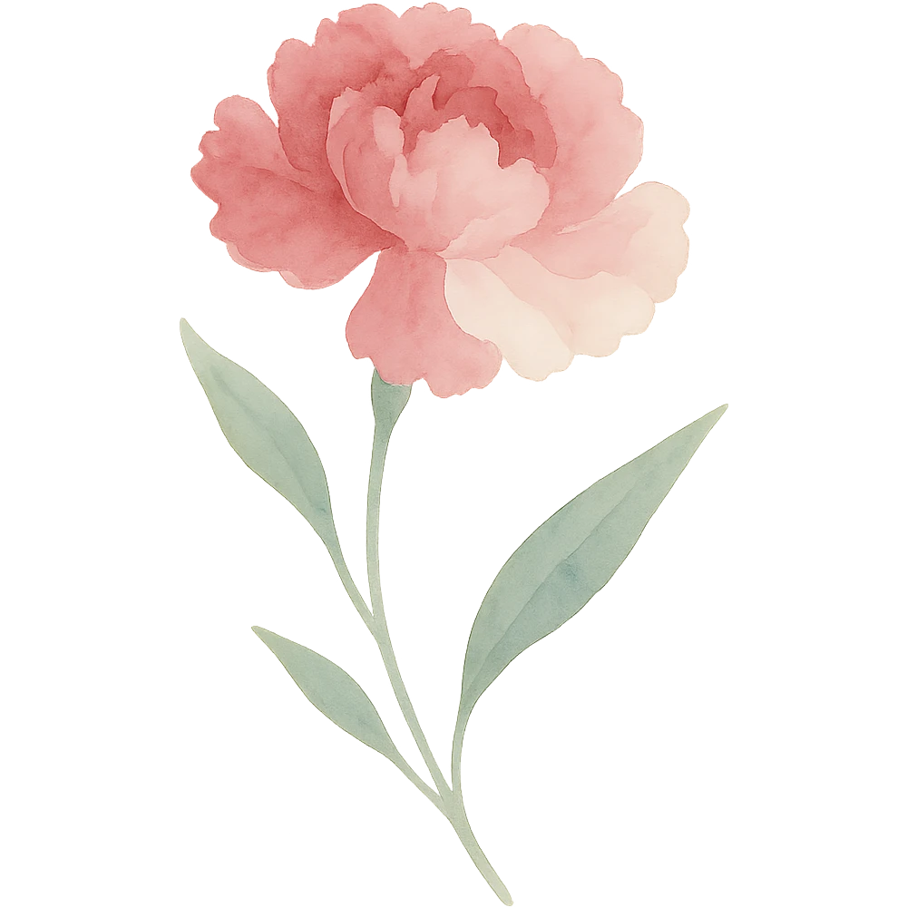 carnation, flowing brushstrokes, rich pink and white colors, elegant shape, naturalistic leaves emoji