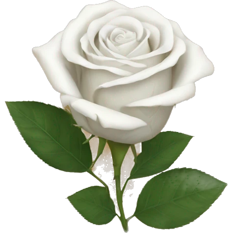 white roses in brown paper emoji