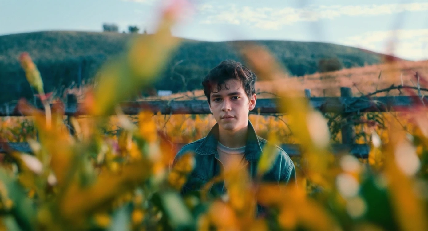 A portrait of a person in the foreground, blurred plants in the foreground (close to the camera), a wooden fence in the midground, rolling hills in the background, cinematic depth of field, layered composition, natural lighting emoji