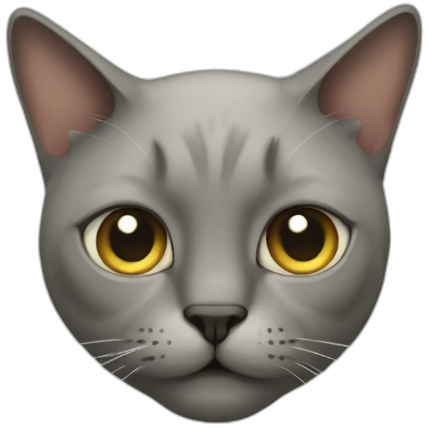 one eyed cat emoji