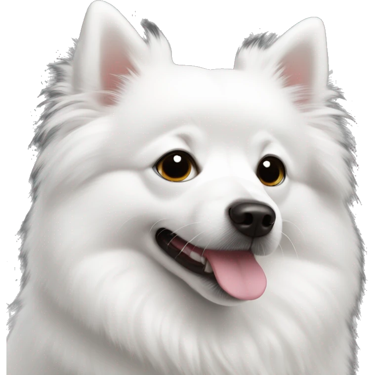 White Japanese Spitz with black eyes emoji