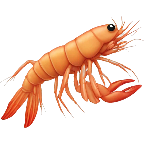 cat shrimp emoji
