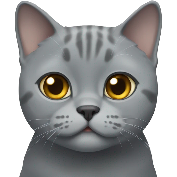Grey British shorthair smiling emoji