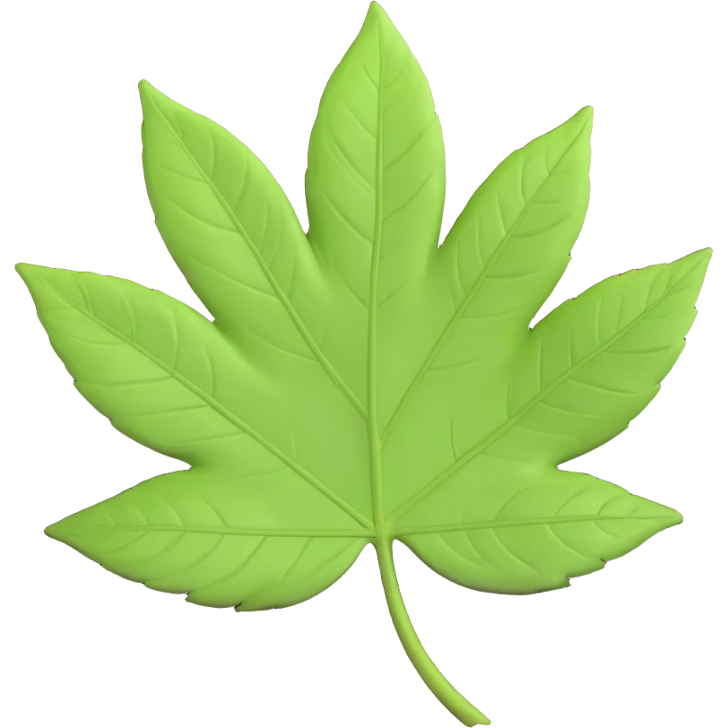 A single fresh green leaf lying on top of soil or ground. Natural lighting, soft shadows emoji