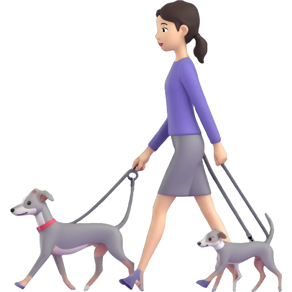 Beautiful Asian girl walking a solid grey Italian greyhound with absolutely no white markings, completely grey dog emoji