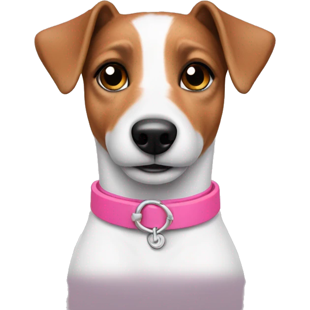 Jack Russel with pink collar  emoji