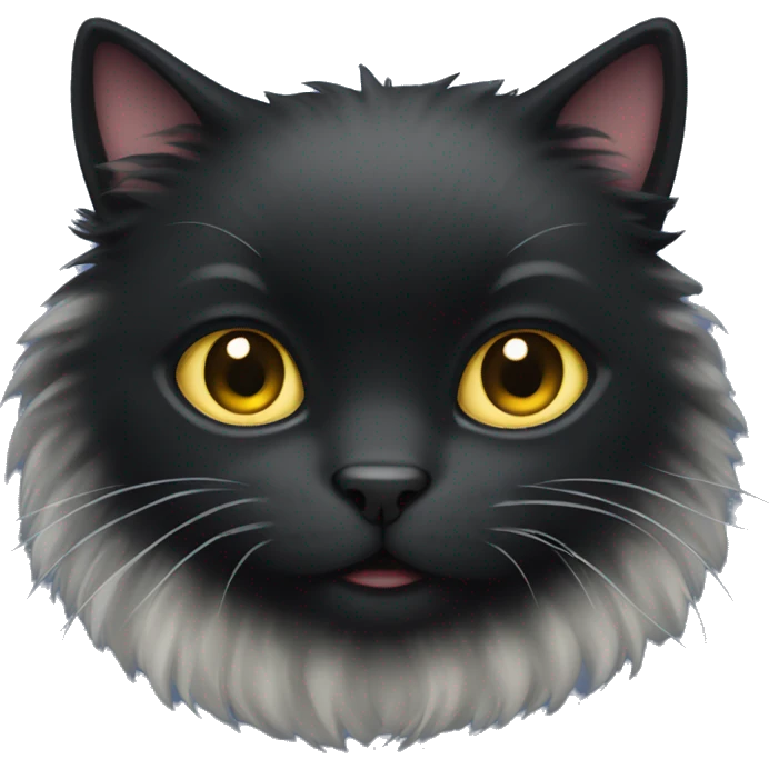fluffy black cat emoji