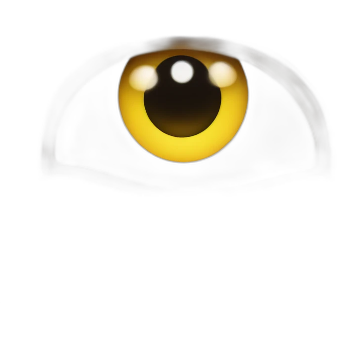 someone is watching emoji