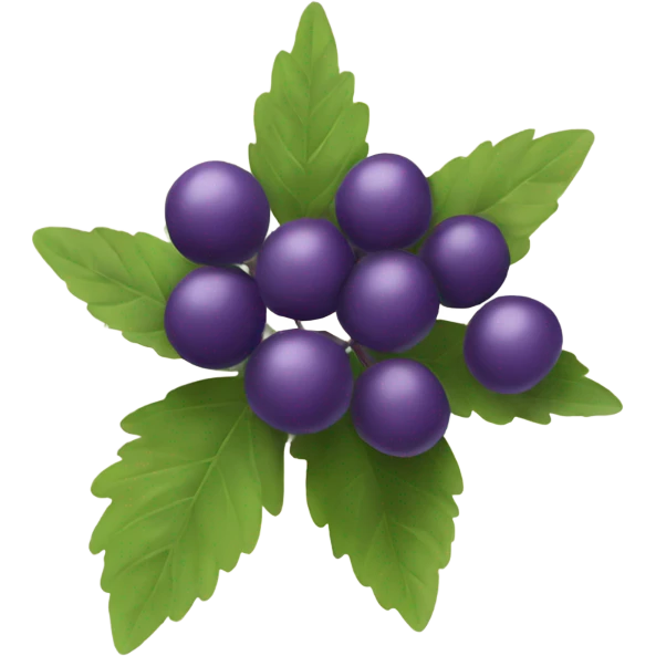 A purple elderberry emoji