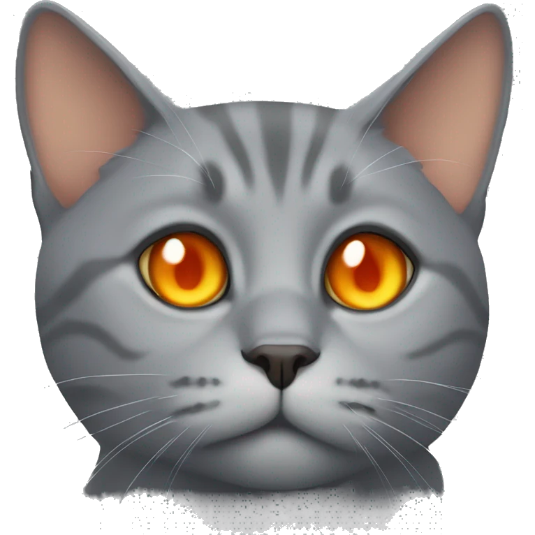 Grey Cat and orange eye and fat emoji