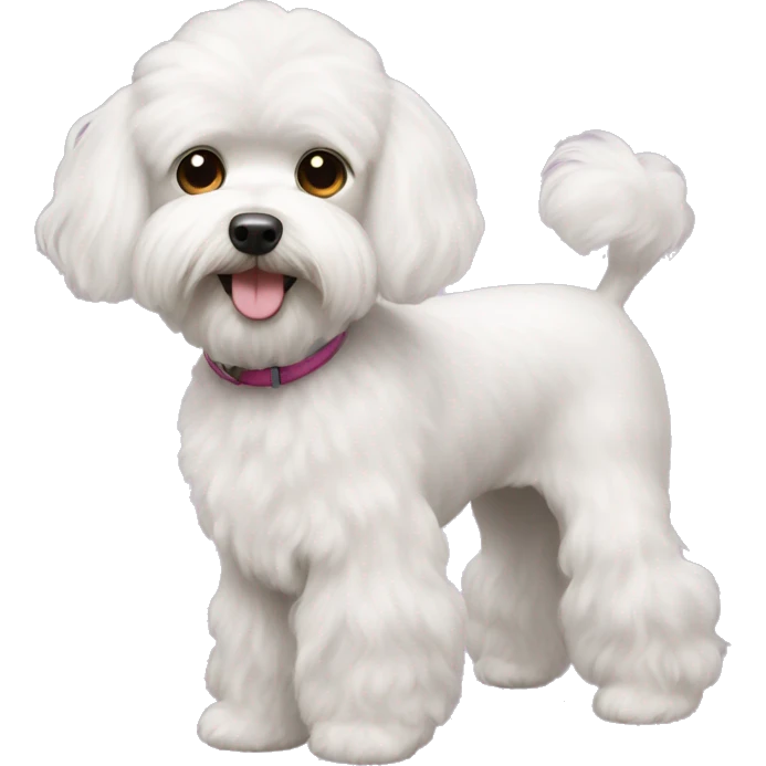 Maltese poodle emoji