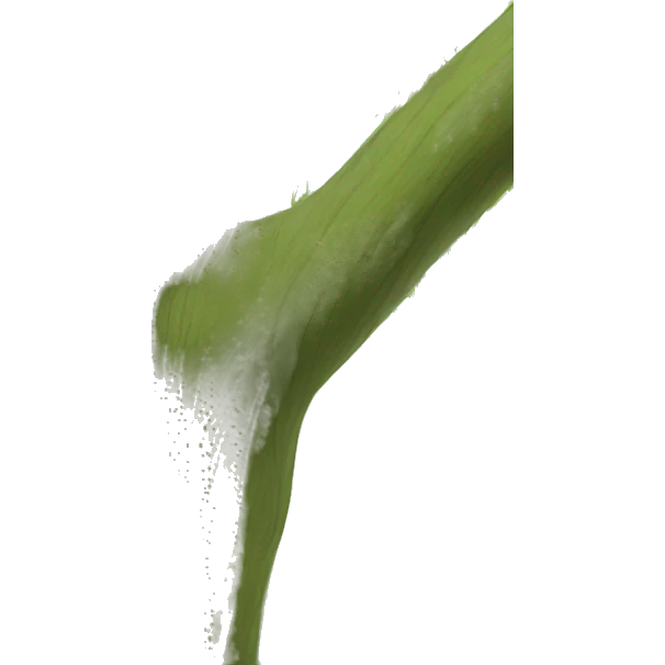 willow tree emoji