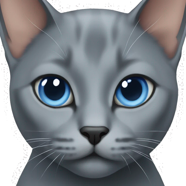 cat russian blue emoji