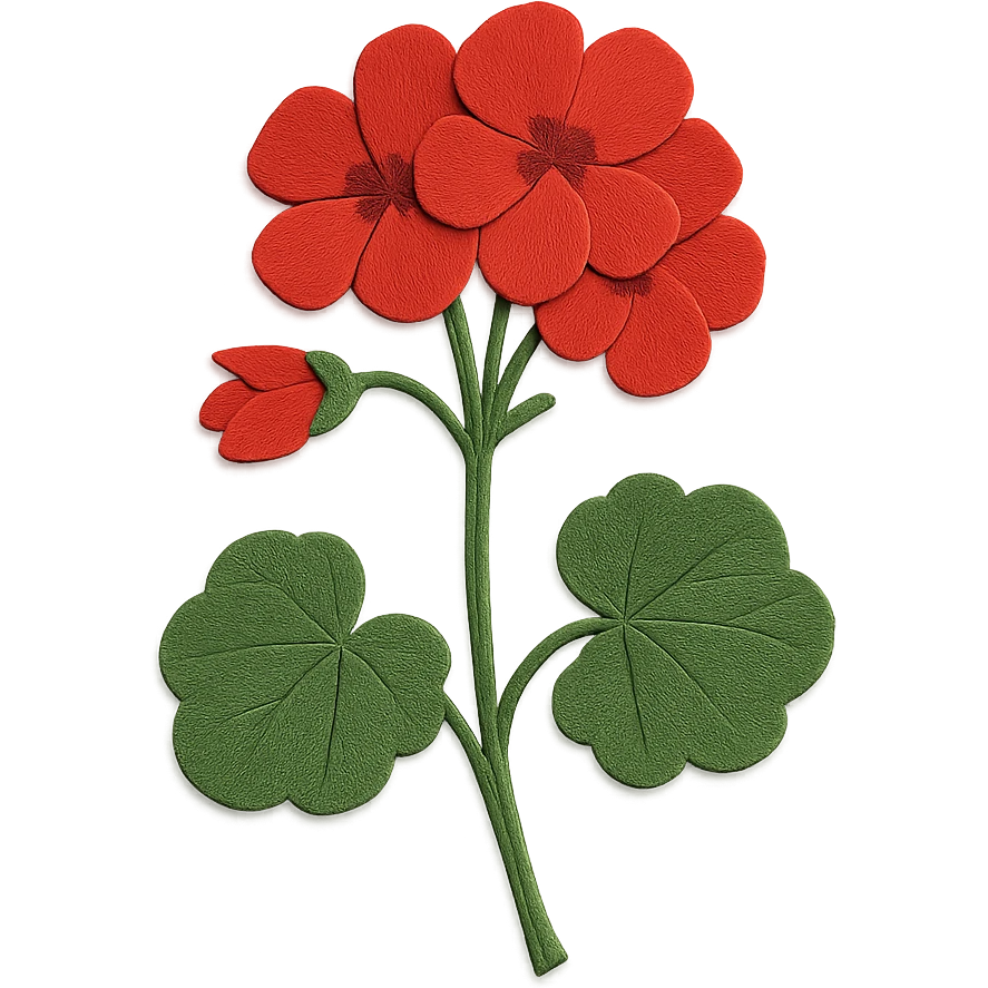 geraniums, vibrant flowers emoji