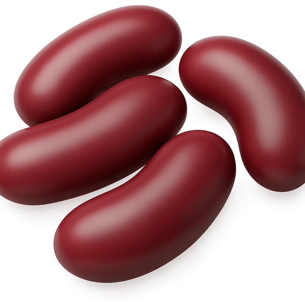 Show exactly 5 large red kidney beans, loosely arranged, each bean bigger than before, smooth glossy surface, deep reddish-maroon color, typical curved kidney shape, natural variation in size and hue, dry and polished, 3D-rendered, clean, minimal, soft shadows, no faces or packaging, transparent background, emoji scale. The style should resemble a clean and minimal 3D-rendered emoji style with transparent background. emoji