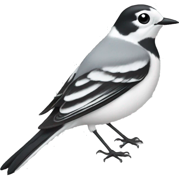 White wagtail emoji