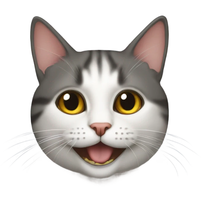 kedi kaplumbağa emoji