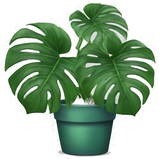 Monstera plant emoji