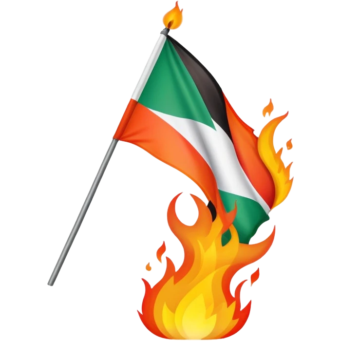 Palestine flag burning with stylized flames emoji