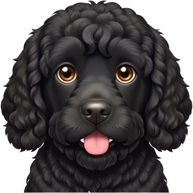 Black Portuguese water dog, loose curls, mischievous looking  emoji
