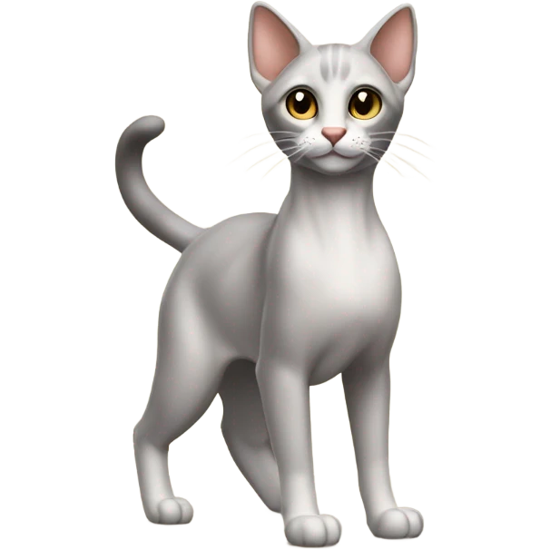 Arabic cat emoji