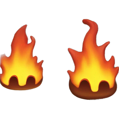 fire in the forest emoji
