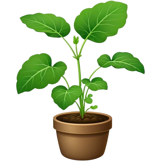 Gotu Kola emoji