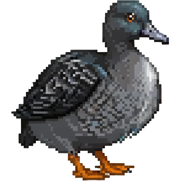 black coot bird, a duck with black feathers, white beak, and grey legs emoji