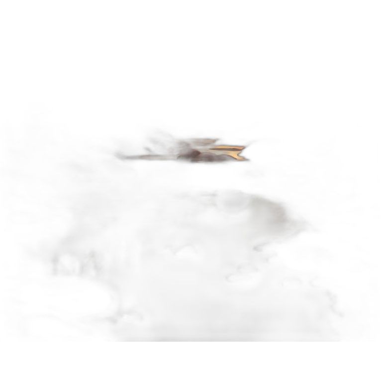 Sunset tiny brook emoji