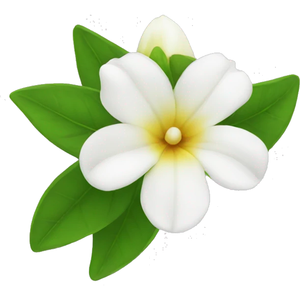 jasmin flower emojis emoji
