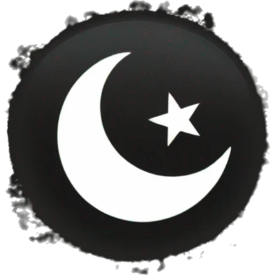 Islamic flag,use use black background and this is in the middle of the flag emoji