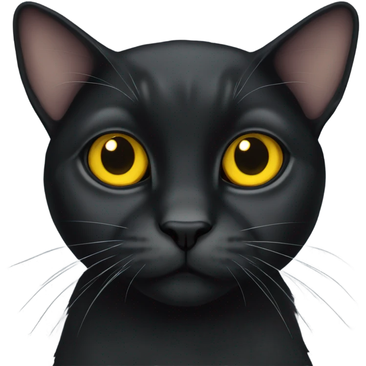 Black lop-eared cat with yellow eyes emoji