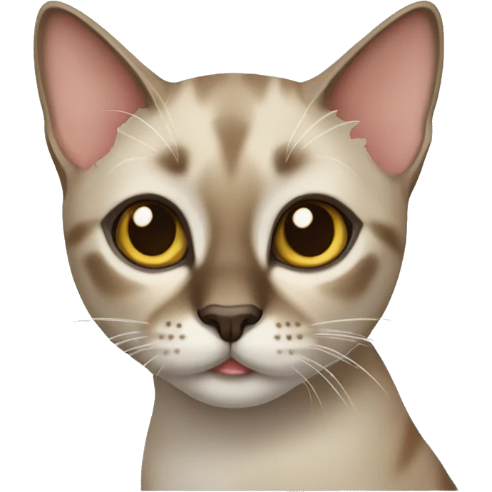 tabby siamese cat emoji