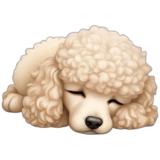 cream mini poodle sleeping emoji