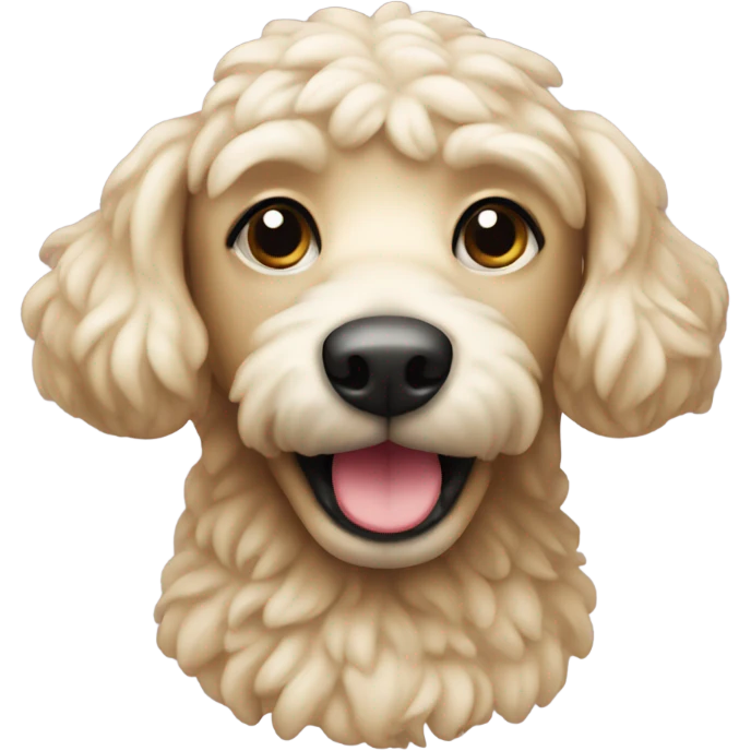 Caniche toy emoji
