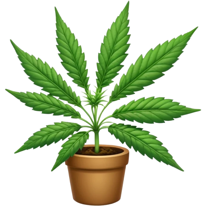 Cannabis emoji