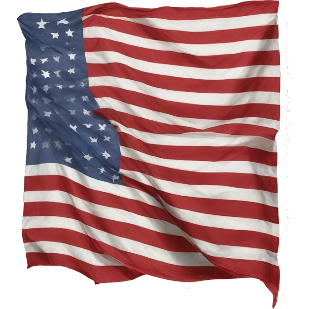 David Hammons American Flag emoji