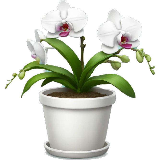 white potted orchid emoji