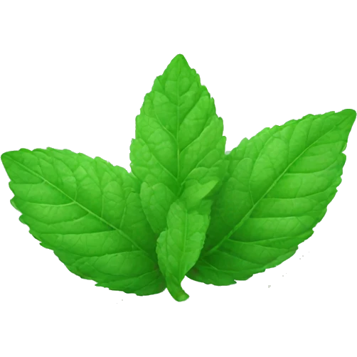 Mint leaf emoji