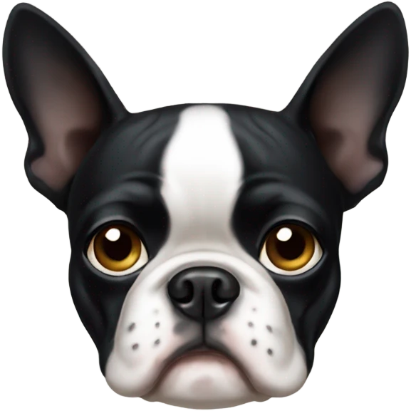 Boston terrier sad emoji