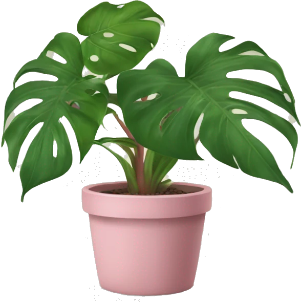 Pink and green philodendron  emoji