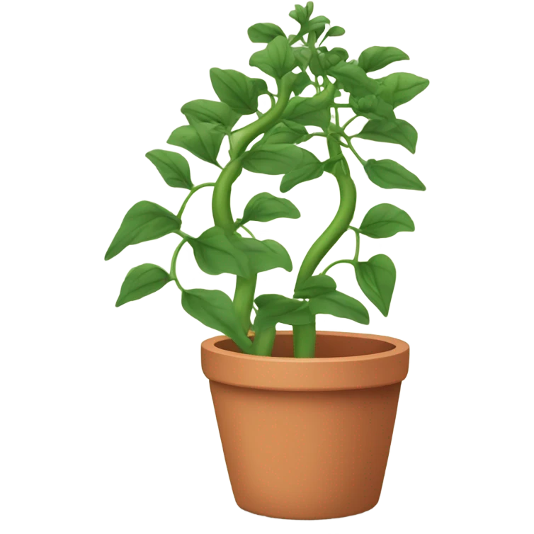 a Climbing Plant in a pot emoji
