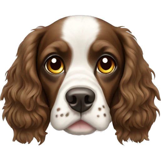 english spaniel  emoji