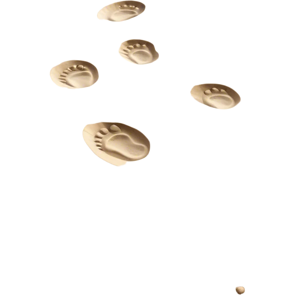 **Baby footsteps lead ahead of larger ones**, as if guiding the adult forward.  on sand emoji