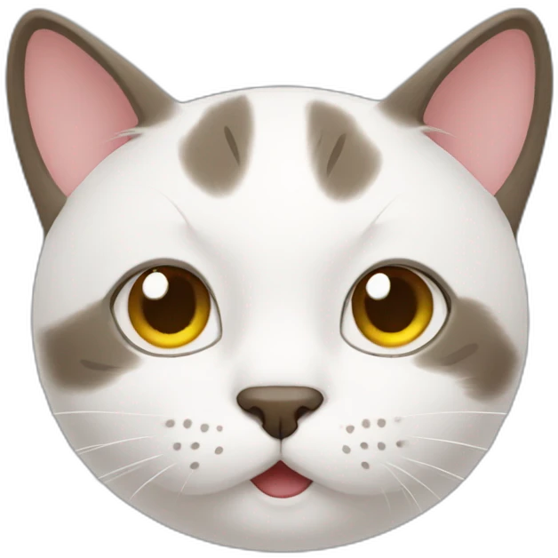 cat Facetiming emoji