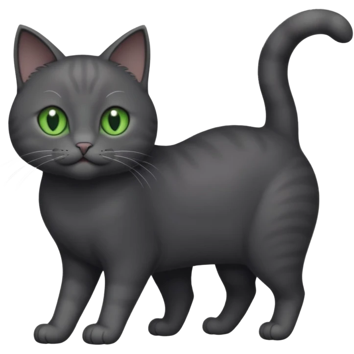 full body gorgeous solid dark grey cat with green eyes, white paws and white whiskers playing emoji