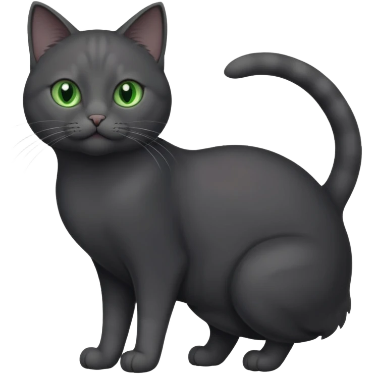 full body gorgeous solid dark grey cat with green eyes, white paws and white whiskers playing emoji