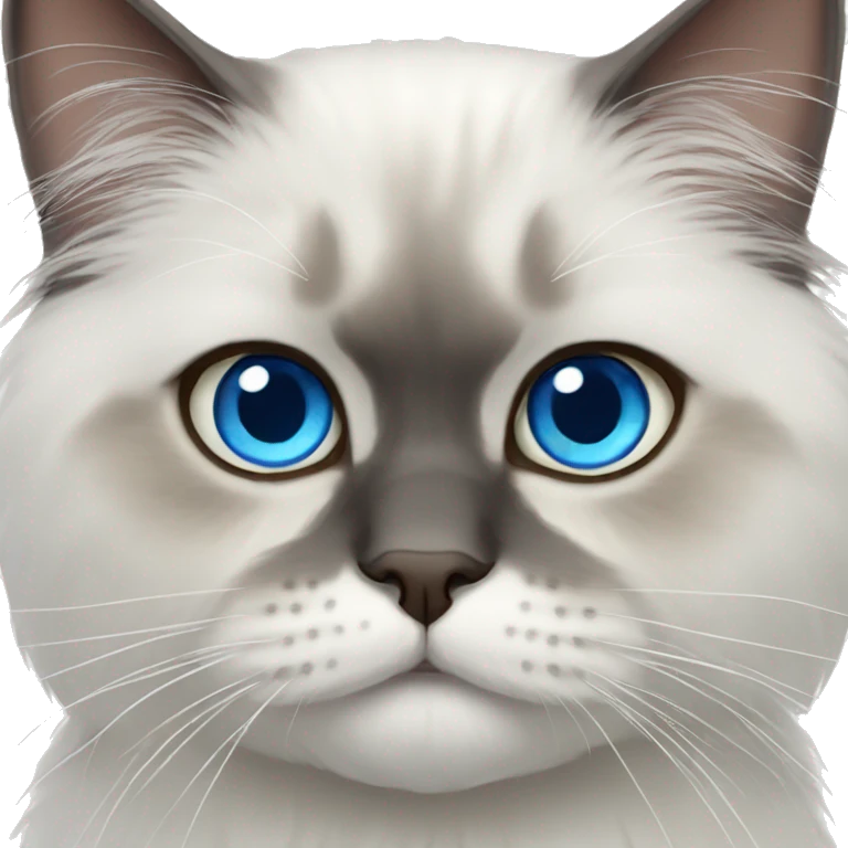 Persian cat blue eyes  emoji