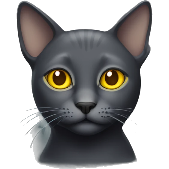 Solid dark grey cat with yellow eyes and a messed up ear emoji