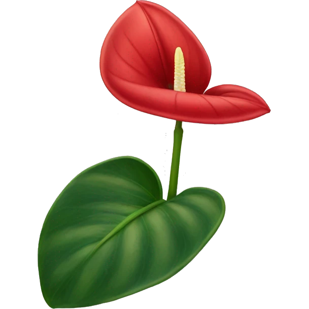 front facing red anthurium flower only no stem emoji
